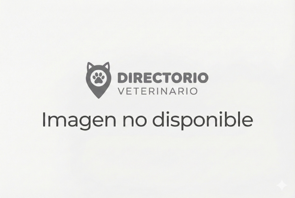 Consulta Veterinaria Municipal